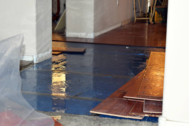 Professional Basement Flood Cleanup technician working in Springfield, FL